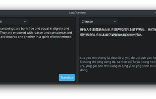 LocalTranslate screenshot 3