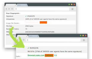 Kameleo screenshot 1