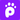PawToAI icon
