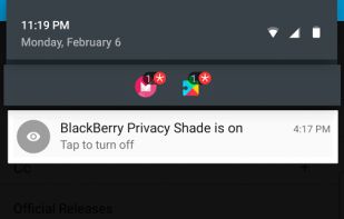 BlackBerry Privacy Shade screenshot 3