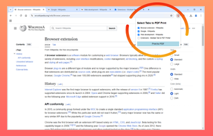 Multiple Tab to PDF Printer screenshot 2