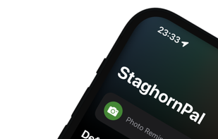 StaghornPal screenshot 1