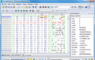 Hex Workshop screenshot 1