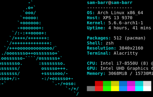 paleofetch screenshot 1