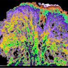 Spectrum Shift Visualizations icon