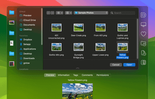 Panels below Open dialogs let you preview, change info, tag, comment and change permissions
