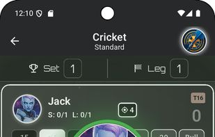 Cricket game interface with strategic scoring system. Clean, responsive design showing target numbers, hits, marks, and game progress for engaging cricket darts gameplay experience.