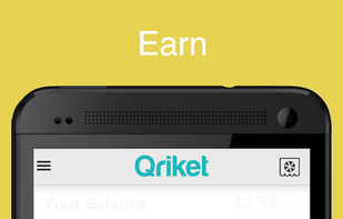 Qriket screenshot 1