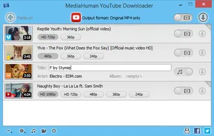 MediaHuman YouTube Downloader screenshot 2