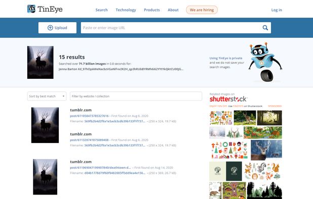 9 Great PimEyes Alternatives: Top Image Search Engines in 2025 ...