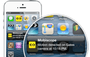 Get monition detection alerts