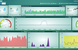 Cavisson NetStorm screenshot 1