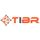 TIBR.ai icon