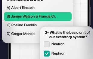 Science Answers screenshot 1