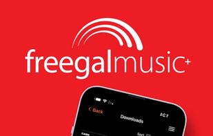 Freegal screenshot 3