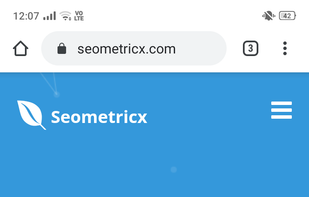 Seometricx.com screenshot 1
