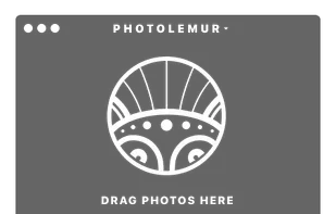 Photolemur screenshot 1