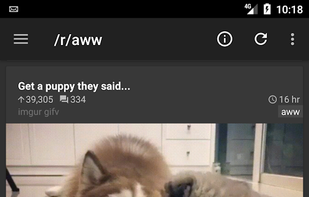 rif is fun screenshot 3