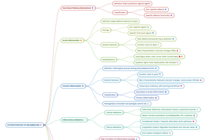 AI generated Mind Map on Pathophysiology of Inflammation