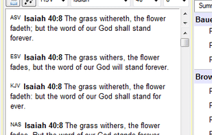 BibleWorks screenshot 1