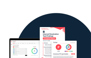 Red Sentry screenshot 2