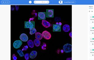 Interface for image annotation on the Mindkosh annotation platform. Label images with bounding boxes, polygons, polylines, key-points, cuboids and segmentation using intuitive AI-powered tools. OCR and rotated bounding boxes also supported.
