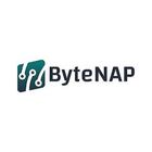 ByteNAP Networks PVT LTD icon