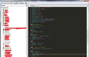 E TextEditor View, with FTP-folder on the left