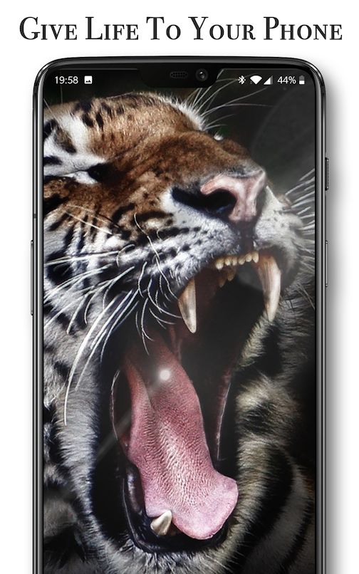 Pixel4D Live Wallpaper: App Reviews, Features, Pricing & Download | AlternativeTo Pixel4D Live Wallpaper: App Reviews, Features, Pricing & Download | AlternativeTo