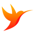 TBird icon