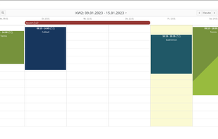 Calendar.online screenshot 1