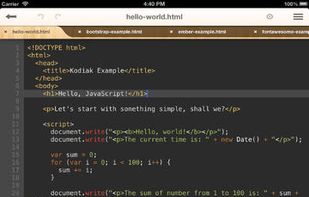 Kodiak JavaScript