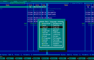 UI language selection