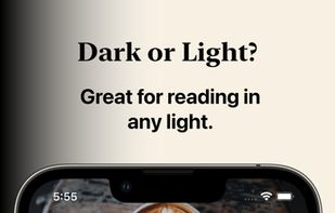 Feedibus screenshot 3