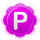 Pamela for Skype icon