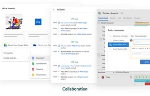 Collaboration