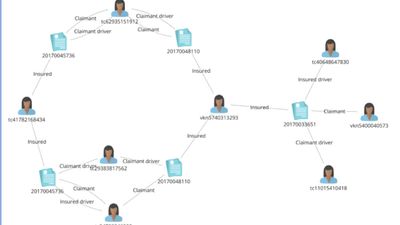 Identify fraud rings