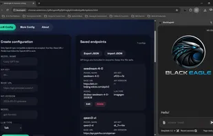 Privacy-Respecting Local Large Model Setup