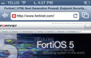 FortiClient Endpoint Protection screenshot 1