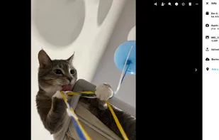 Megatech Photos screenshot 1