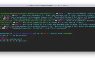 colorize (log colorizer) screenshot 1