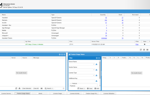 Main Screen - License server