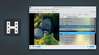 Media player Haruna 1.5 improves playlist management, mouse settings and playback controls image