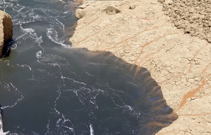 Infinigen screenshot 1