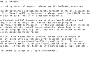Web SSH client for more advanced users.