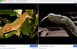 Helium Browser screenshot 2