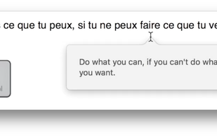 MacLinguist screenshot 1