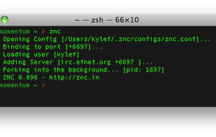 ZNC screenshot 1