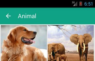 HD Image screenshot 1