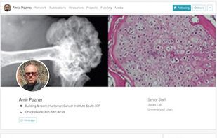 Academig screenshot 3
